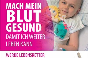 Typisierung Dessau Wittenberg Stammzellen