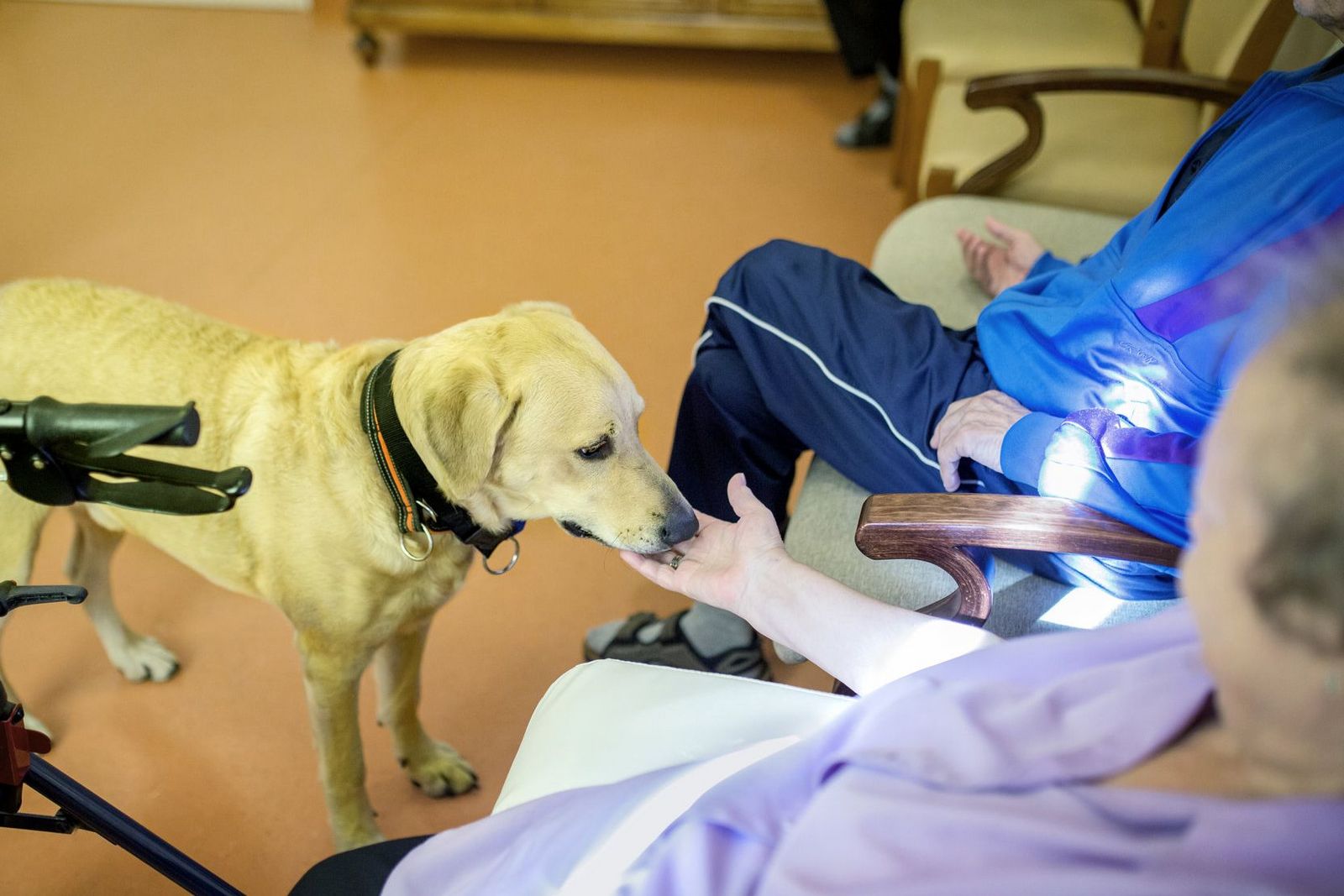 Therapiehund zu Besuch auf der Demenzstation