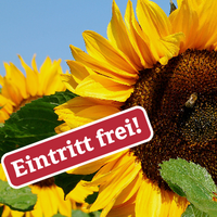 Sommerfest im Klinikgarten 